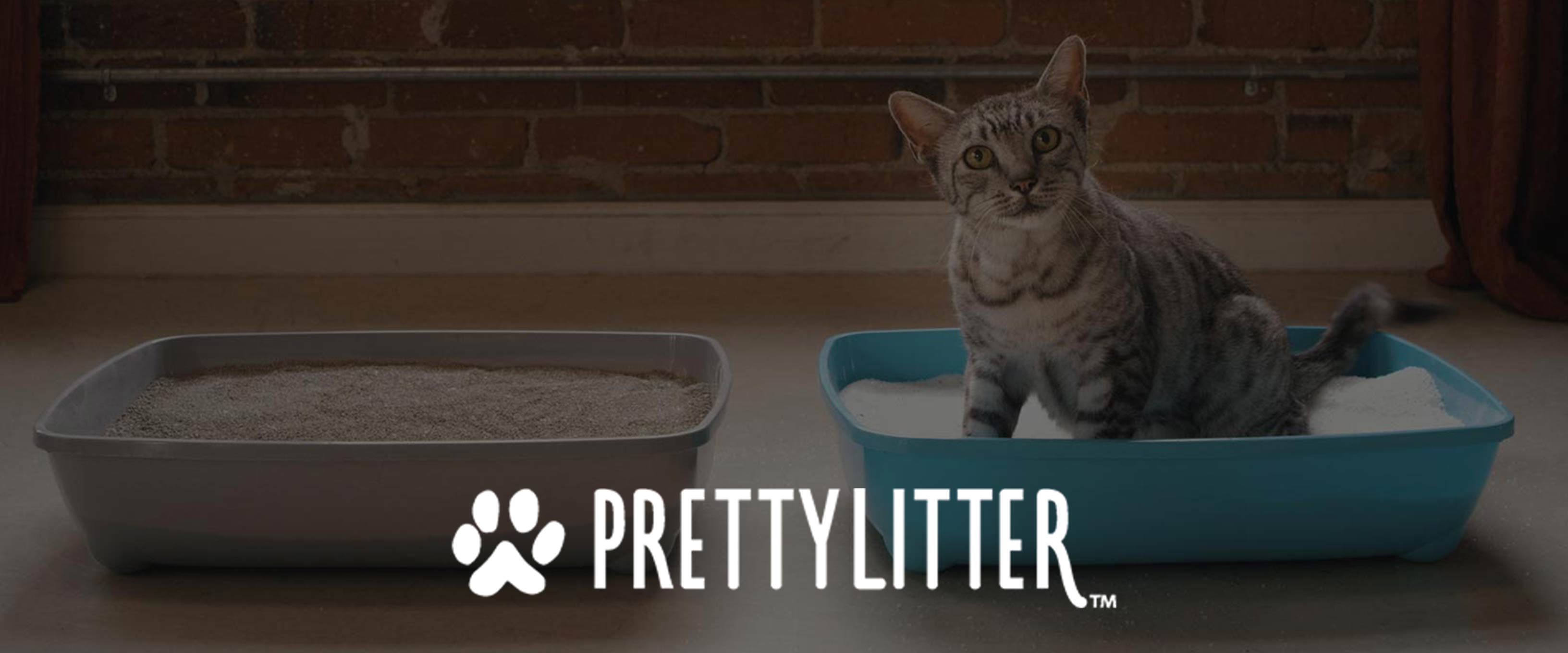 Get Started prettylitterdev